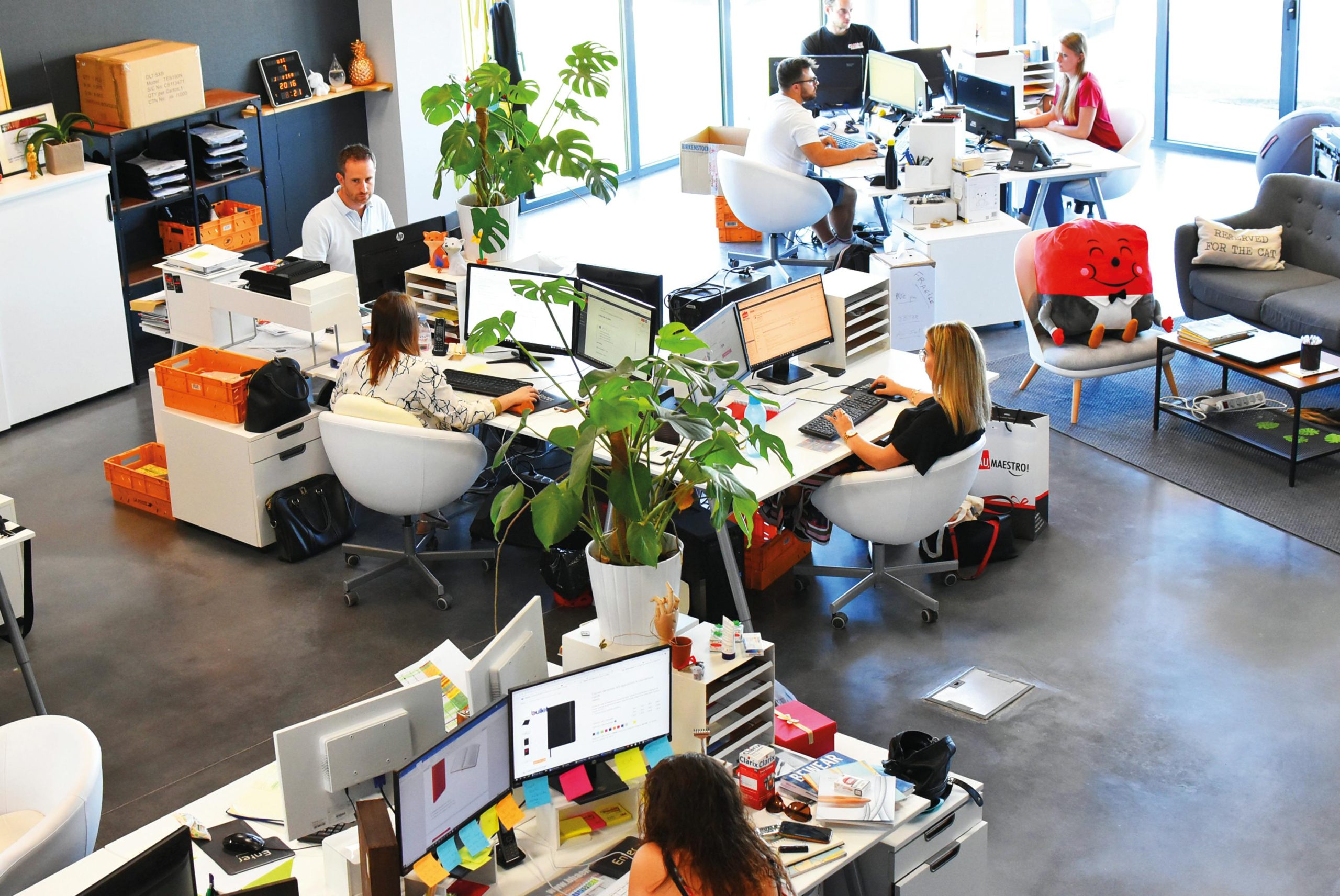 Qualité de vie au travail : clés pour un environnement sain et productif